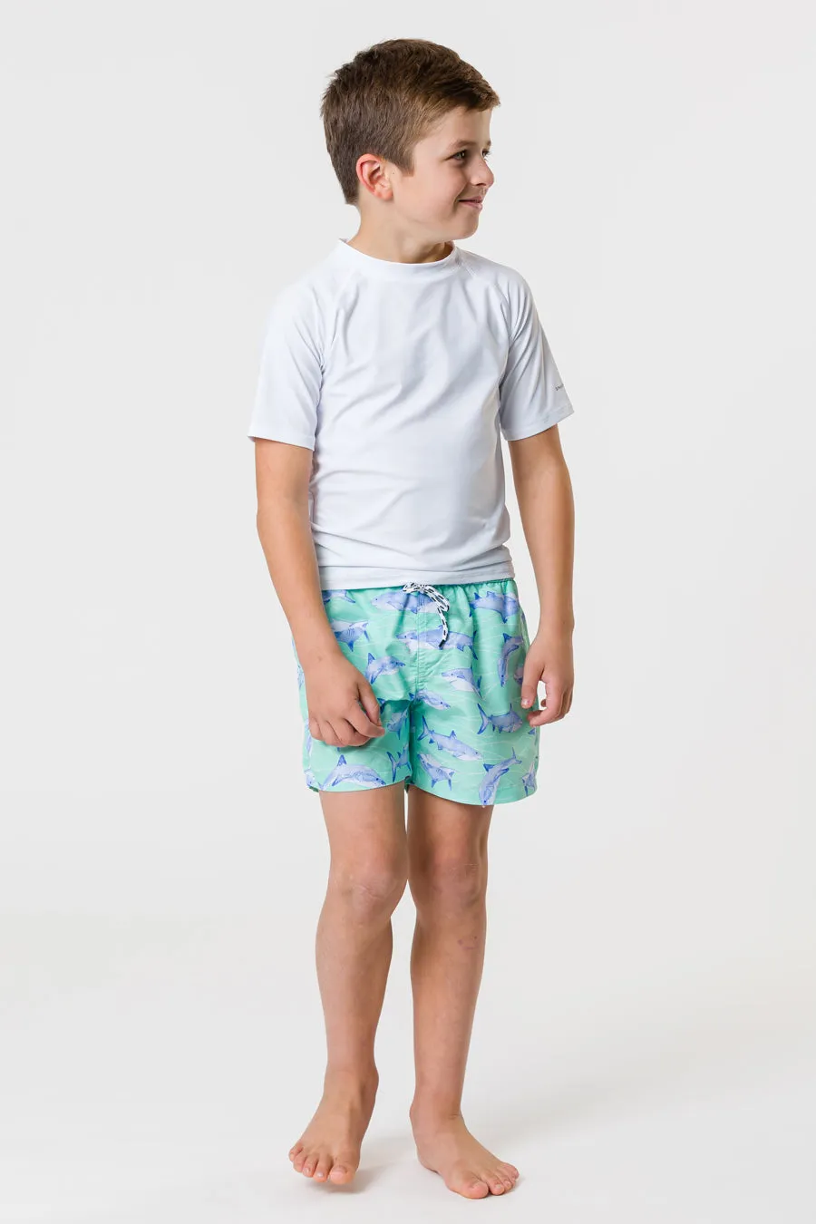 Boys Swim Snapper Rock Minty Shark Volley Board Shorts