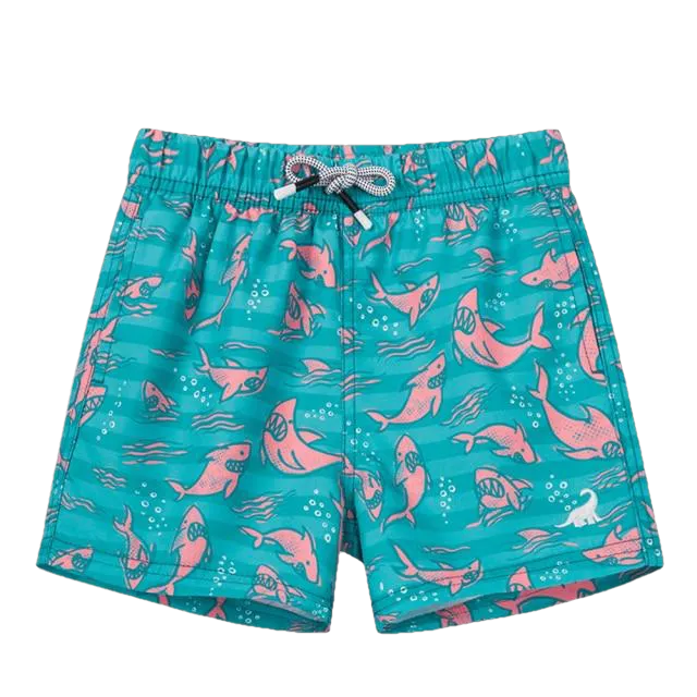 Fashionable Boys' Quick Dry Swim Trunks For Beach Board