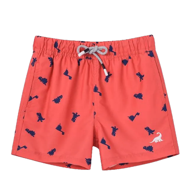 Fashionable Boys' Quick Dry Swim Trunks For Beach Board